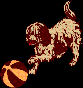 Dog playing with ball.