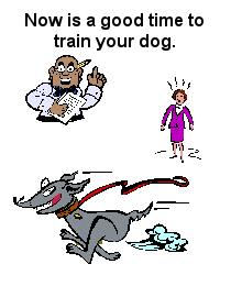 Free Dog Training Class